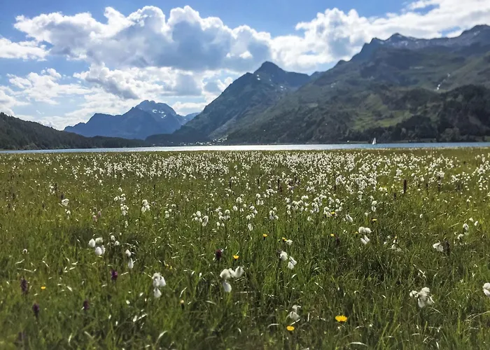 דירה Genziana By Interhome